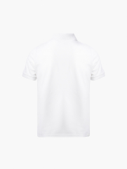 Áo Polo Rã Phối 3 Màu Form Regular PO149