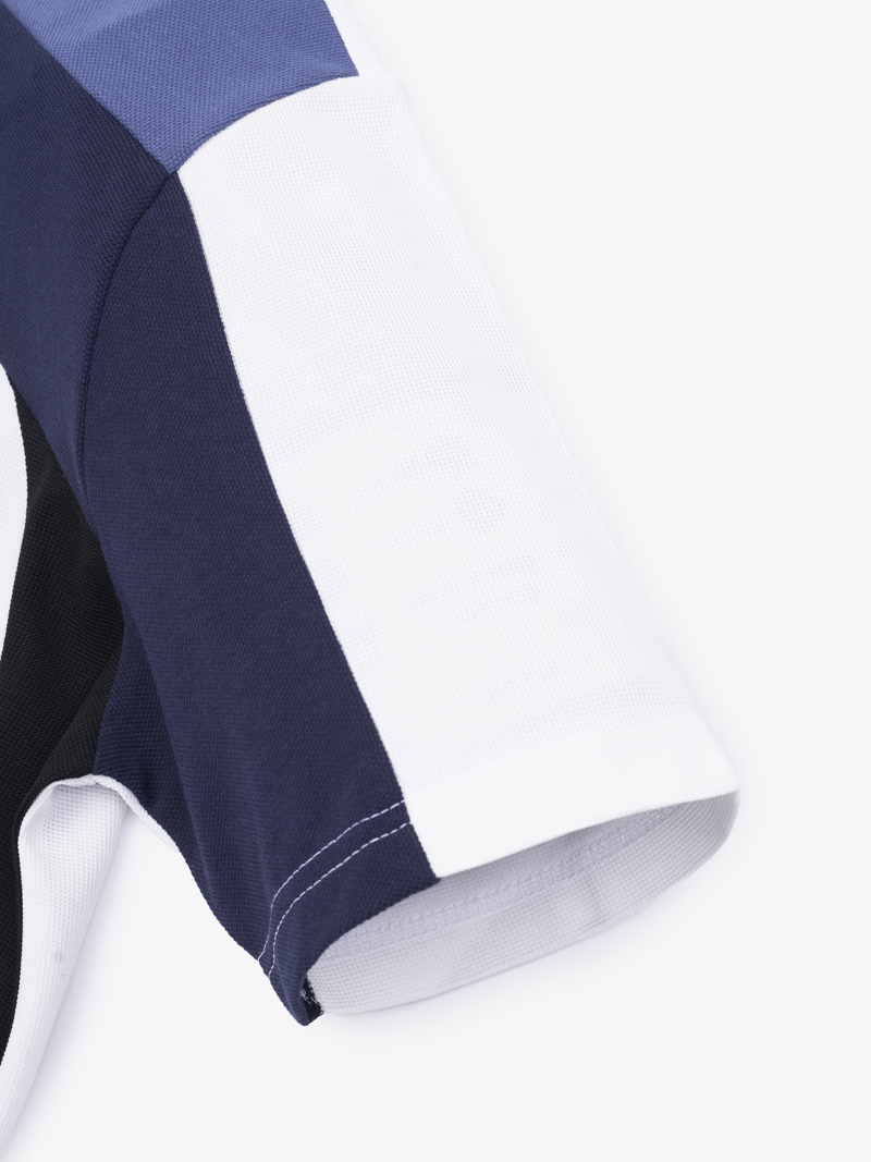 Áo Polo Rã Phối 3 Màu Form Regular PO149