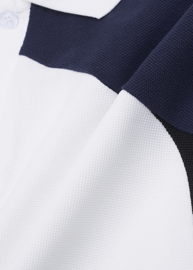 Áo Polo Rã Phối 3 Màu Form Regular PO149