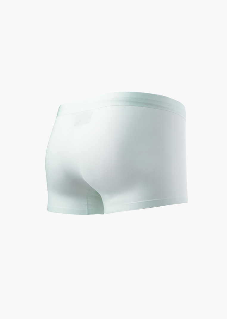 Quần Boxer Lụa Băng Basic QL065 Màu Xanh Bạc Hà